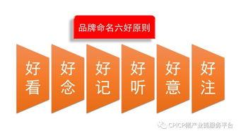 肖壹刀(dao) 從無(wu)到(dao)有(you)，打(da)造豬(zhu)肉品牌(pai)的戰略與(yu)啟示(shi)